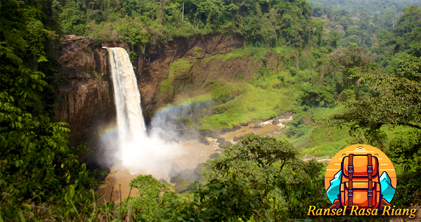 Ekspedisi Flora dan Fauna Khas Kamerun