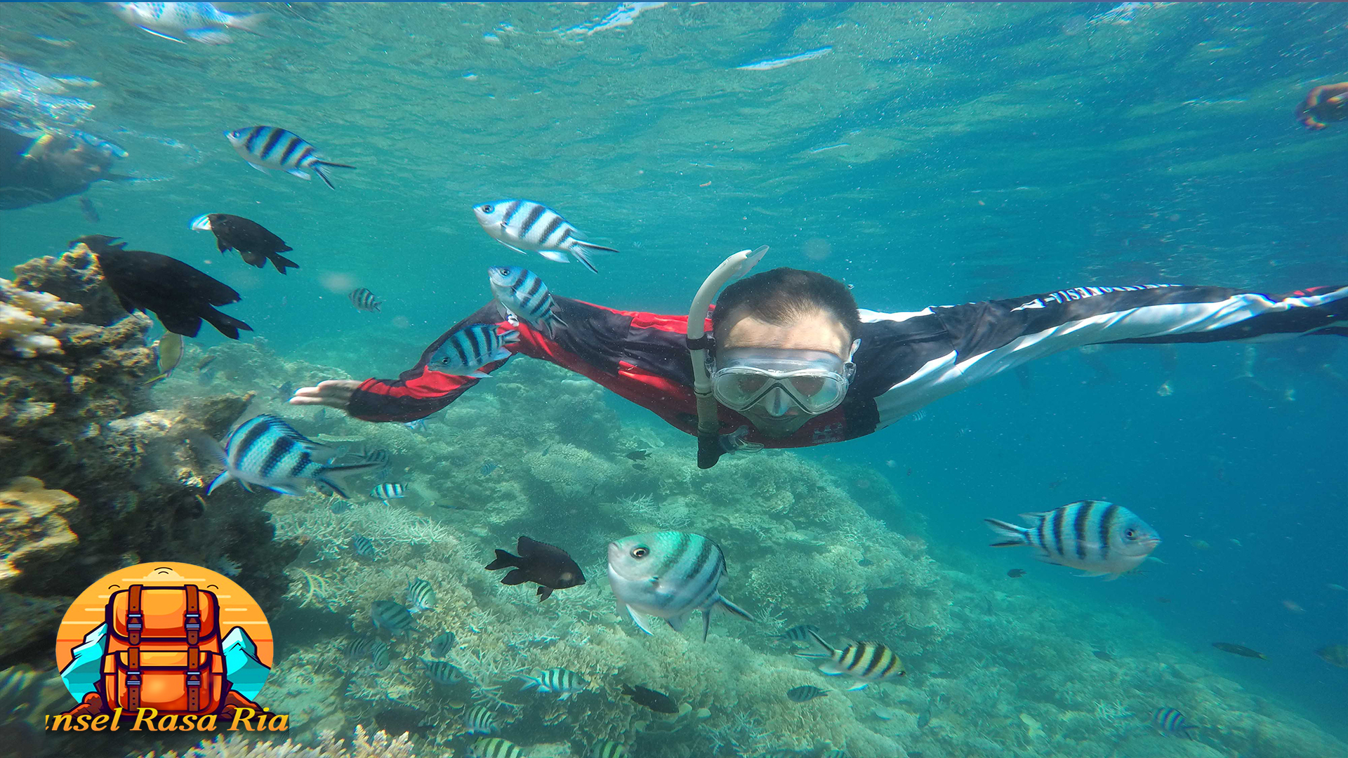 Petualangan Snorkeling di Perairan Indonesia
